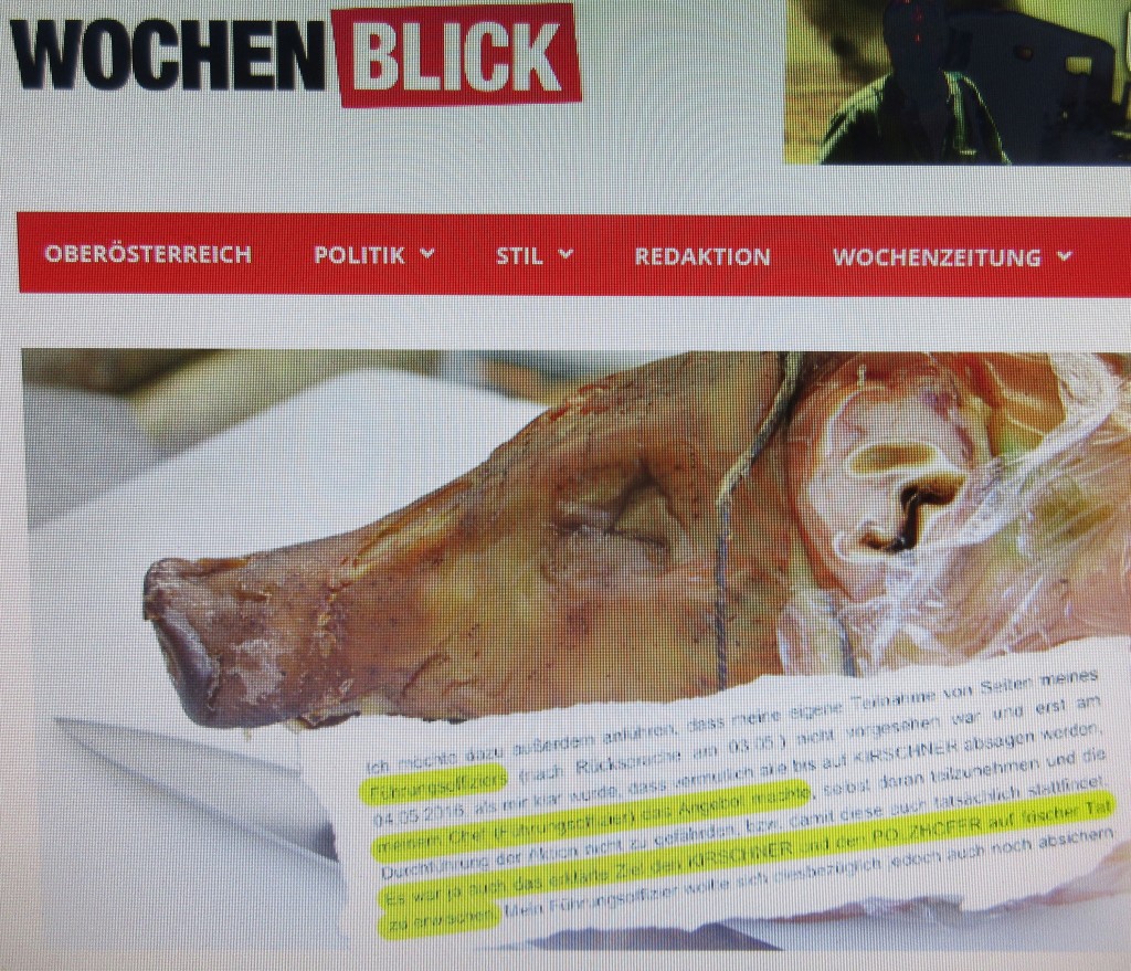 WochenblickSchweinekopf16